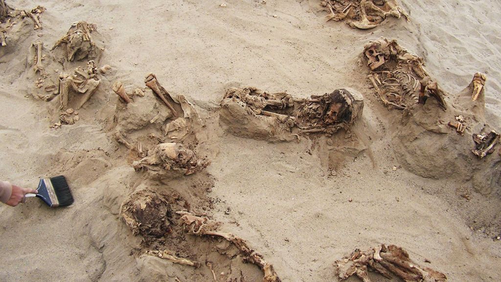 Sensationsfund in Peru: Archäologen entdecken altes Kinder-Massengrab