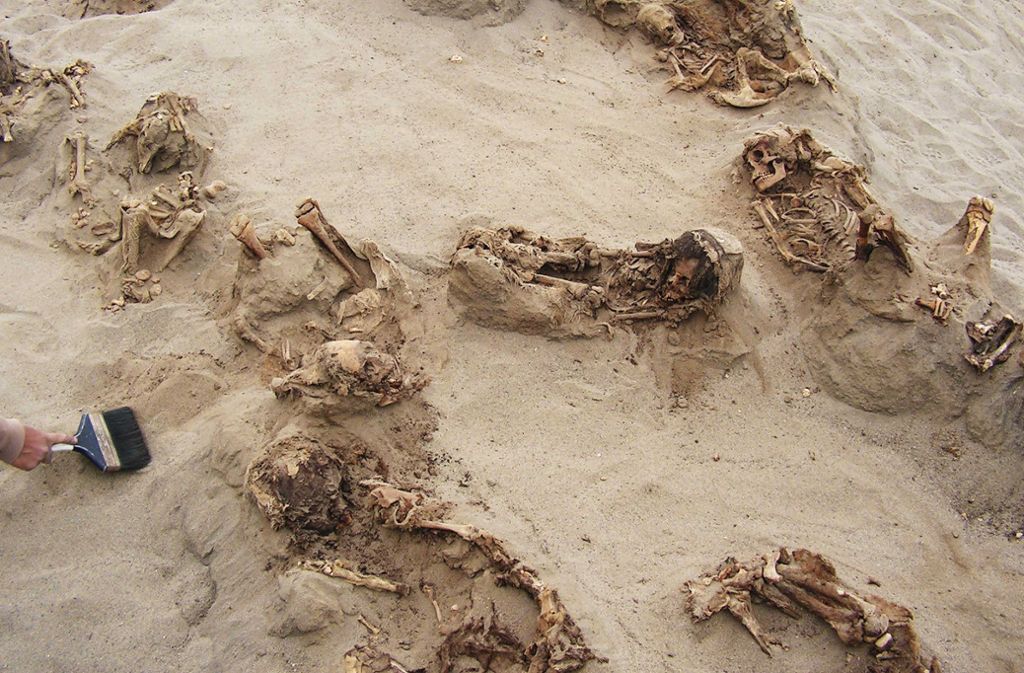 Ein von „National Geographic“ zur Verfügung gestelltes Foto zeigt mehrere über 500 Jahre alte Skelette an ihrem Fundort Huanchaquito-Las Llamas.