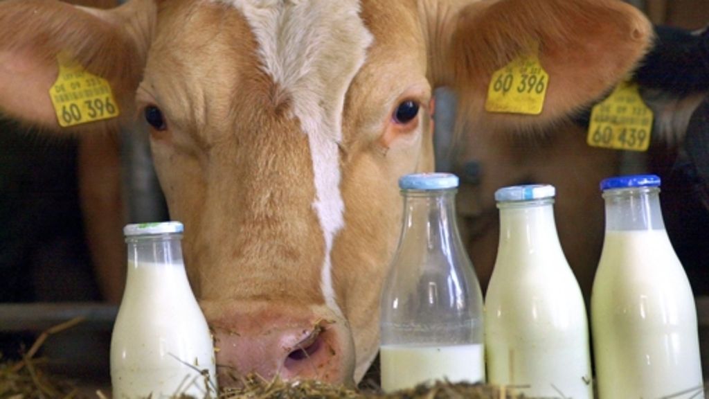  Der Milchpreis sinkt - und die Bauern sind sauer. Der Bundeslandwirtschaftsminister stellt ihnen Hilfe in Aussicht. Auch die EU beschäftigt das Thema. 