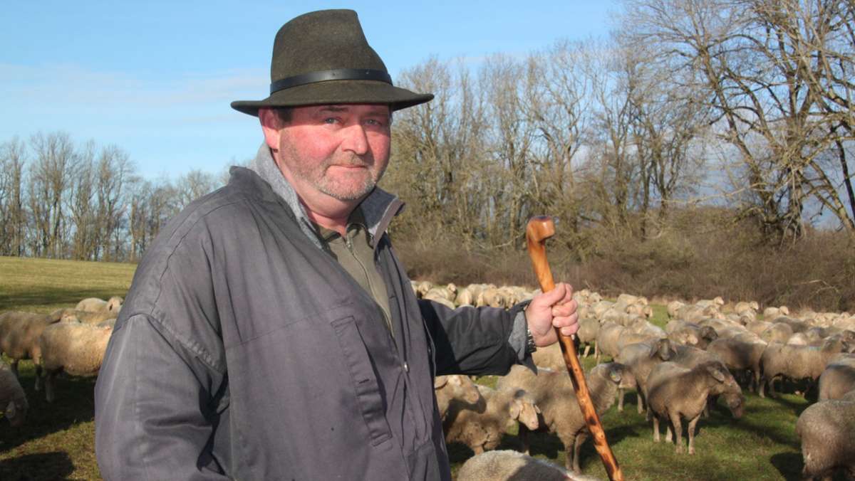Wanderschäfer im Kreis Esslingen: Das ganze Jahr mit 400 Schafen unterwegs – bei Wind und Wetter