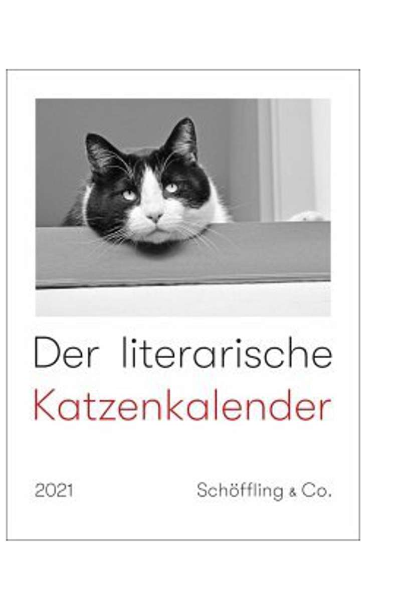 Bester Longseller Der literarische Katzenkalender (Schöffling & Co.)