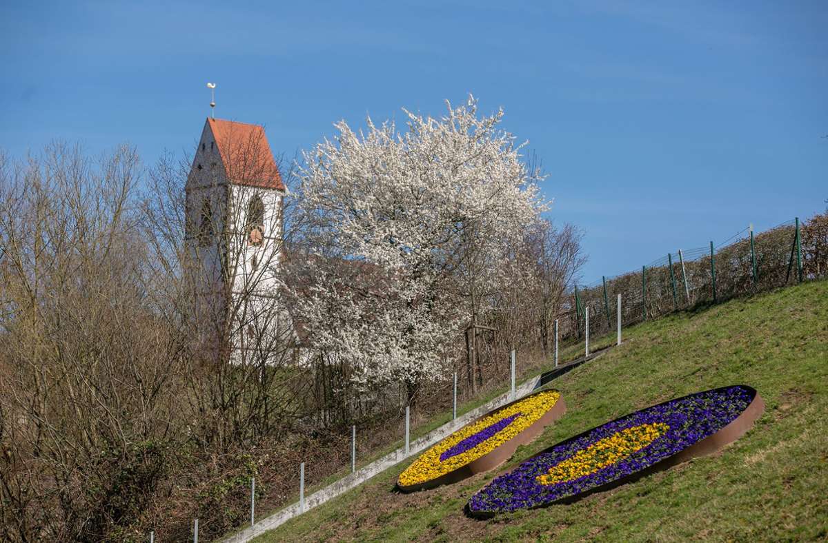 Auch der Bruckenwasen in Plochingen ist im Frühling einen Ausflug wert.