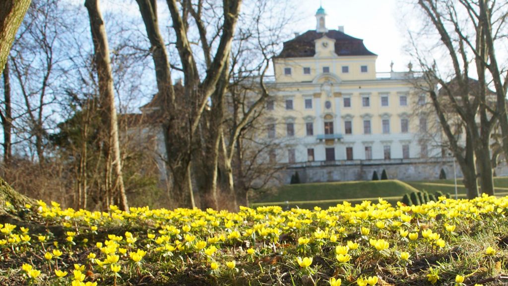 Ludwigsburg braucht mehr Kindergärten und Schulen: Stadt steuert  auf die 100 000 Einwohner zu