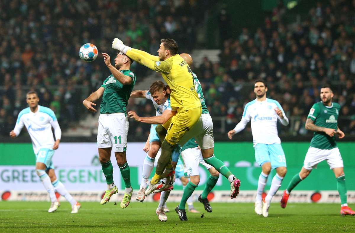 Der FC Schalke und Werder Bremen treffen am Samstag aufeinander – ein Team