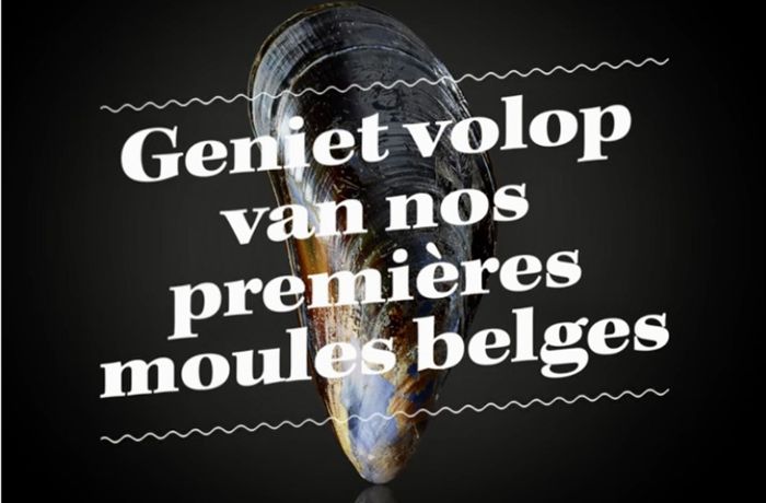 Muscheln in Belgien: Aus der Nordsee frisch auf den Tisch