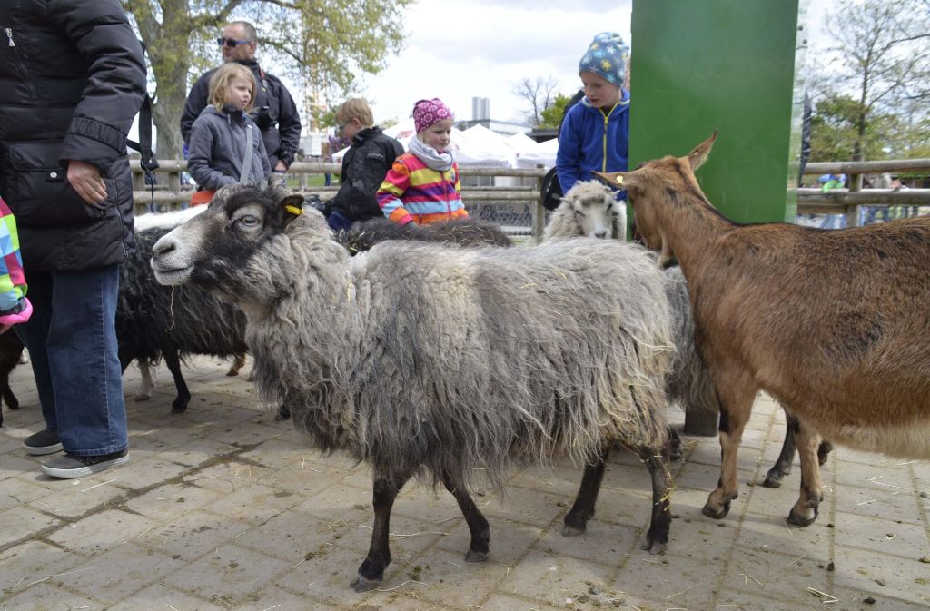 Die Besucher kaufen Futter für die Schafe und Ziegen.