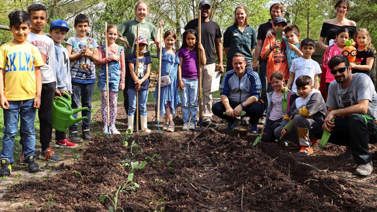 Ackerprojekt in Stuttgart-Zuffenhausen: So werden aus Grundschülern Gartenfreunde