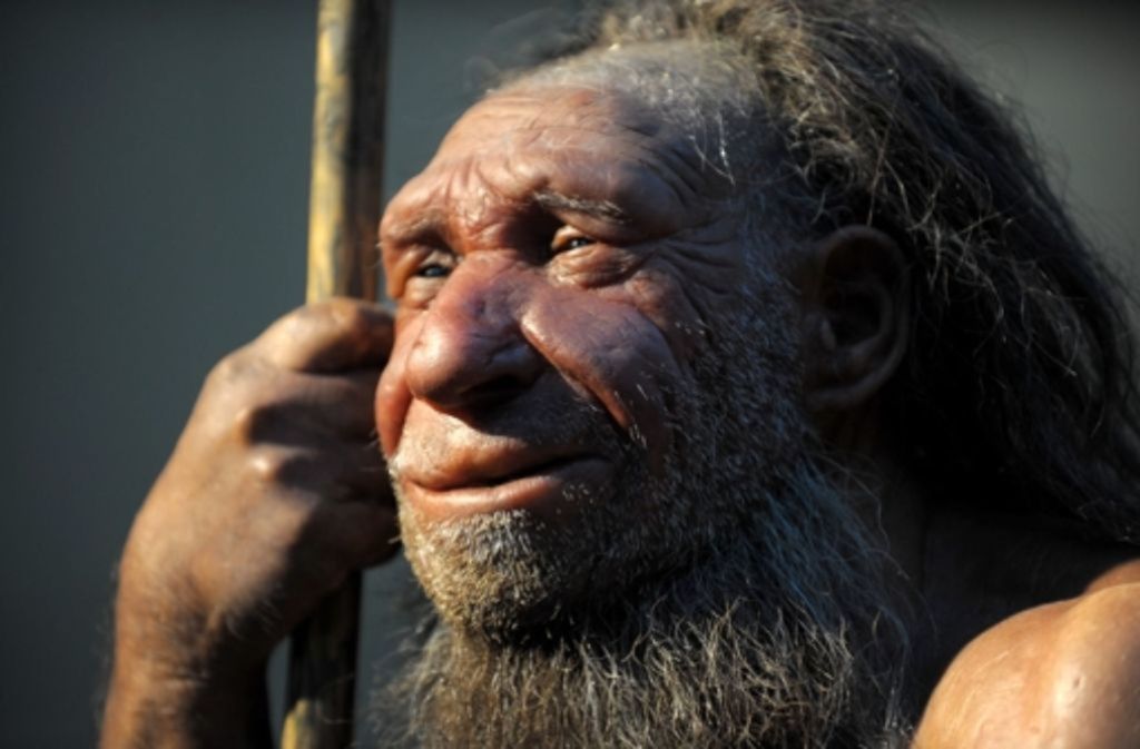 So könnte er ausgesehen haben: Nachbildung eines Neandertalers im Neanderthal-Museum im nordrhein-westfälischen Mettmann.
