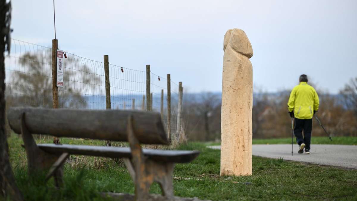 Kurioses aus Ravensburg: Unbekannte stellen riesigen Holzpenis auf
