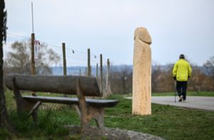 Unbekannte stellen riesigen Holzpenis auf