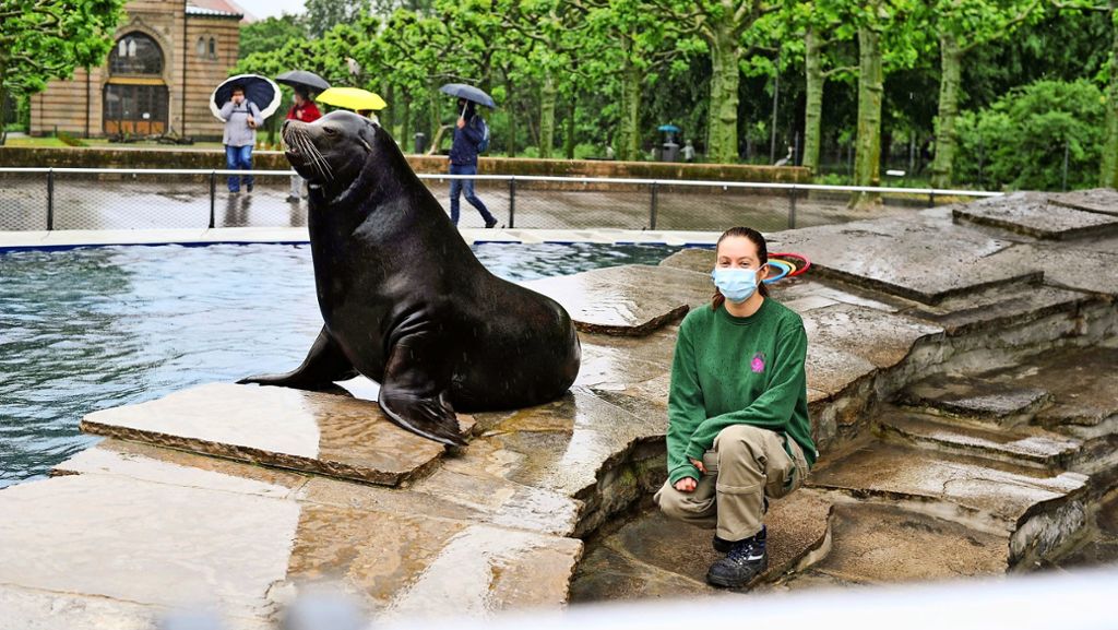 Der Zoo und das Coronavirus: Die Wilhelma erwacht nur langsam zum Leben