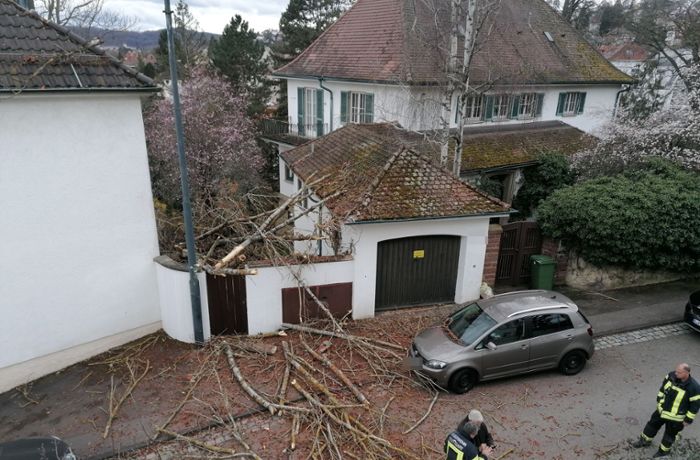 Stuttgarter Feuerwehr im Sturmeinsatz: Umstürzender Baum beschädigt Dach und Straßenbeleuchtung