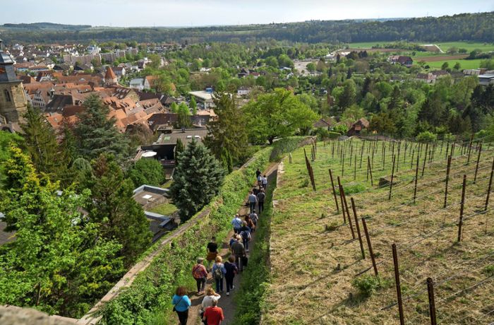 Gartenschau 2029: Vaihingen will seine vielen stillen Reize rund um die Enz präsentieren