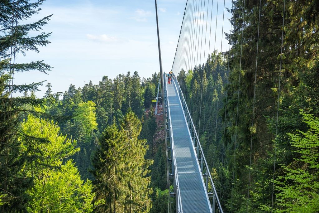 WILDLINE – die Fußgängerhängebrücke in Bad Wildbad