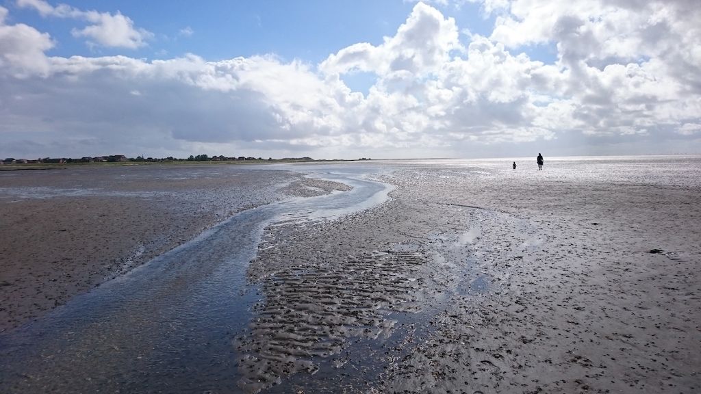 Ein Muss zu jeder Jahreszeit: Das Wattenmeer lädt zu einem Spaziergang auf dem Meeresboden ein