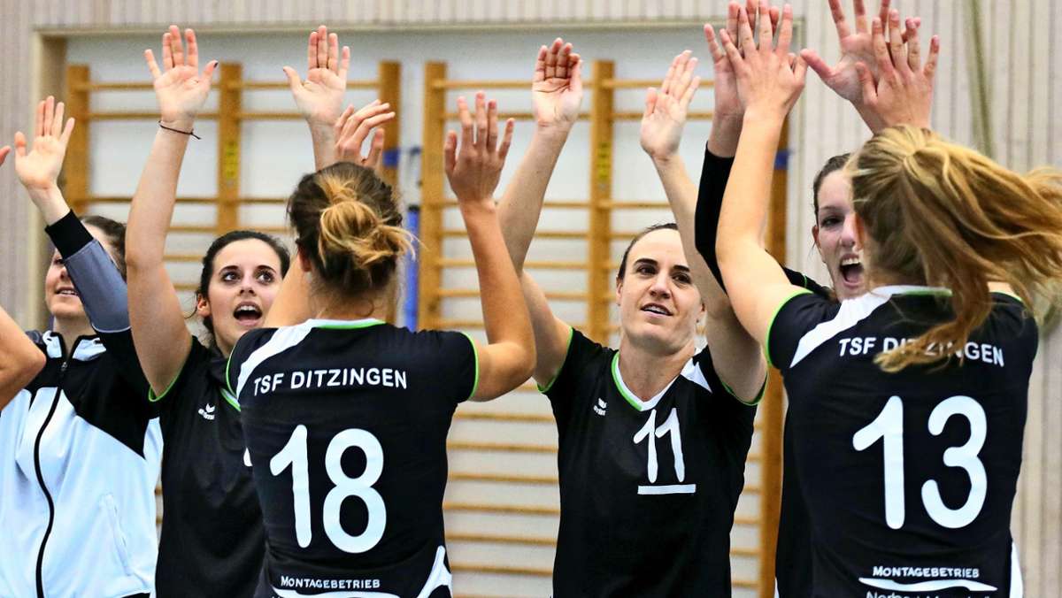 Volleyball in Ditzingen: TSF ist reit aufgestellt
