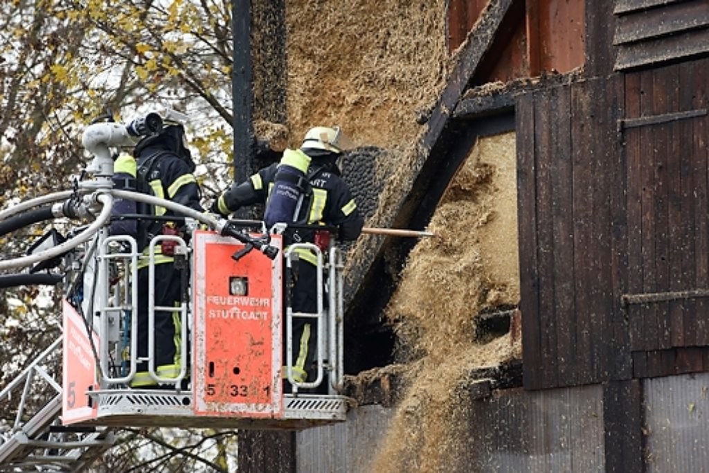 In einem Strohlagerturm des Meiereihofs der Uni Hohenheim ist am Donnerstag ein Feuer ausgebrochen.