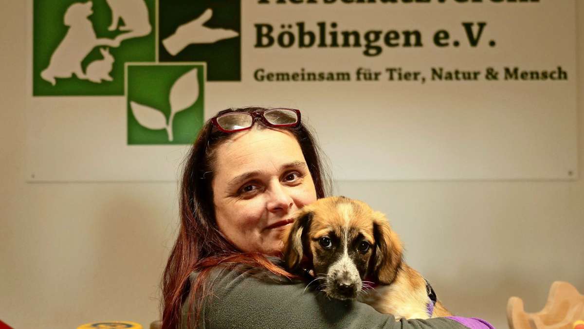 Tierheim  Böblingen: Tiere gibt’s nicht fürs Homeoffice