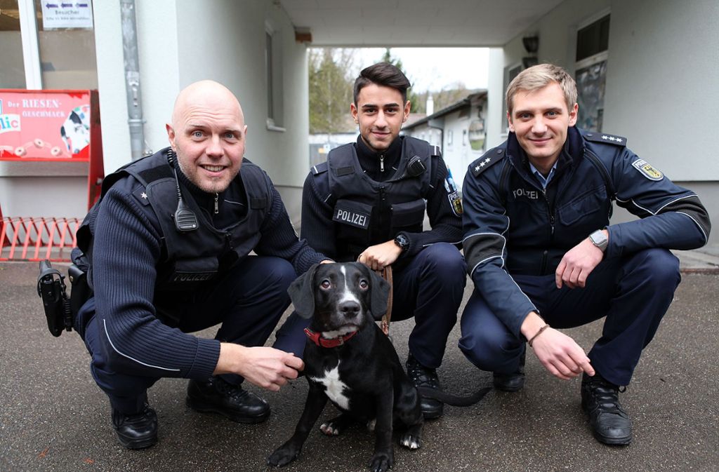 Die Bundespolizisten Roland Weckenmann, Daniar Jola, Daniel Kroh (von links) haben den Hund im Tierheim Botnang besucht. Die Geschichte hat ein Happy-End Hund: eine Frau nimmt Eddi auf.