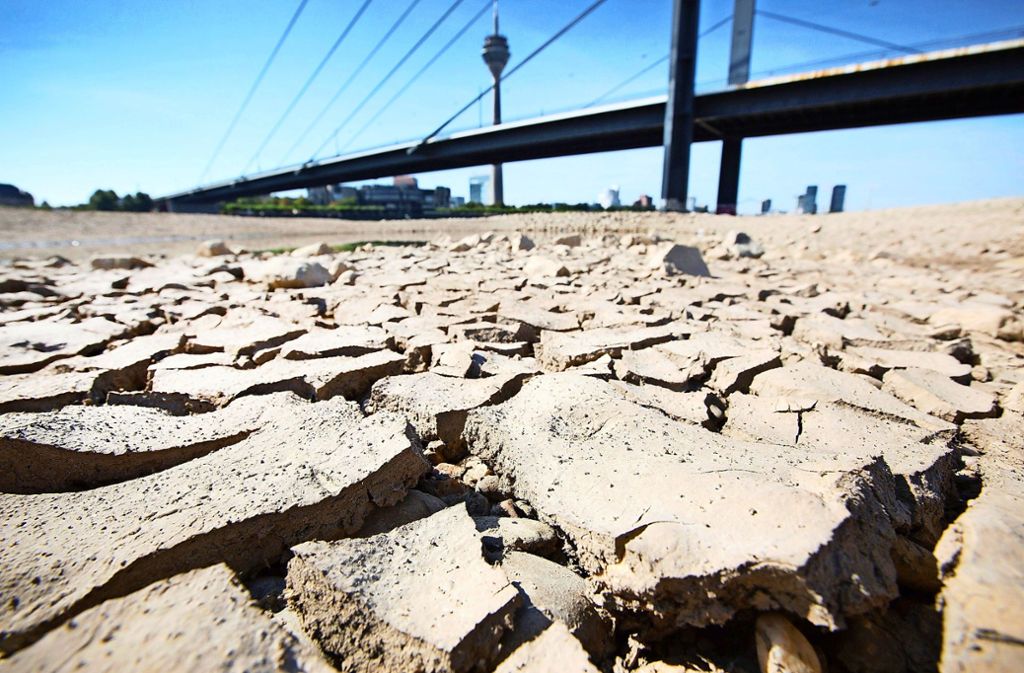 Hängen der Klimawandel und das Auftreten von Dürren zusammen? (Symbolbild) Foto: dpa