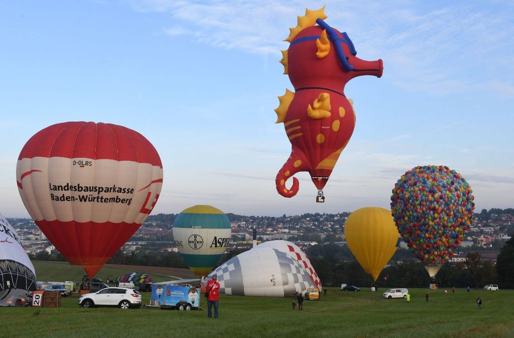 Auf dem Heißluftballon-Wettbewerb in Pforzheim ist die Konkurrenz groß. Sogar ein Seepferdchen hat sich in die Teilnehmer-Ballons eingereiht.