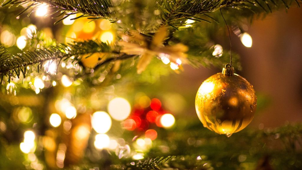 Weihnachten: Was für und gegen ein Weihnachtsbaum aus Plastik spricht