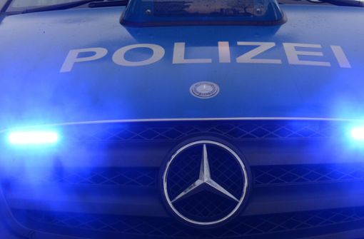 Die Polizei sucht nach drei Störenfrieden, die eine Party in Vaihingen/Enz aufgemischt haben. Foto: Archiv (dpa/Patrick Seeger)