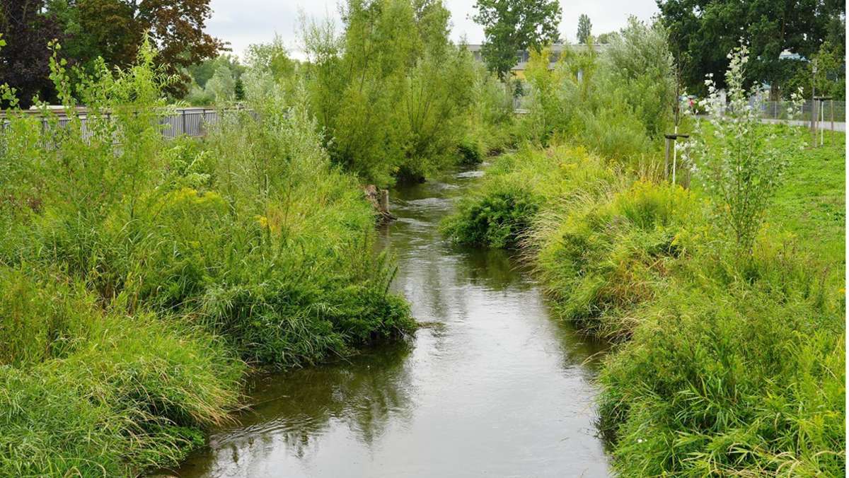 Wassermangel in Baden-Württemberg: Erste Ideen für den Kampf gegen das Niedrigwasser