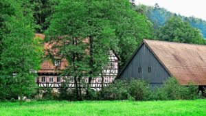 Neue Kulturbühne in Leinfelden-Echterdingen: So geht es an der  Mäulesmühle weiter