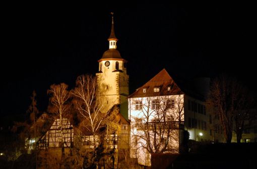 Die Stadt Waldenbuch braucht Geld und erhöht die Steuern. Foto: Archiv/Thomas Bischof