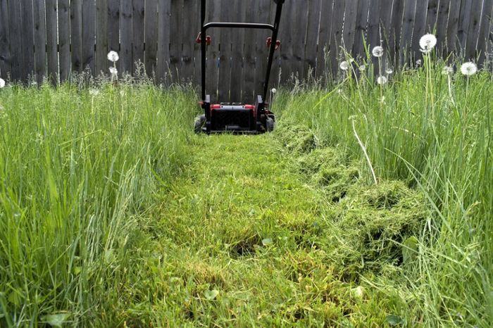 Darf man am Vatertag Rasen mähen?