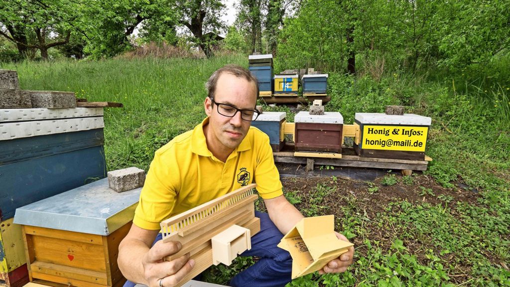 Imker aus Ludwigsburg löst Rätsel: Gescheiterte Revolution im Bienenstock