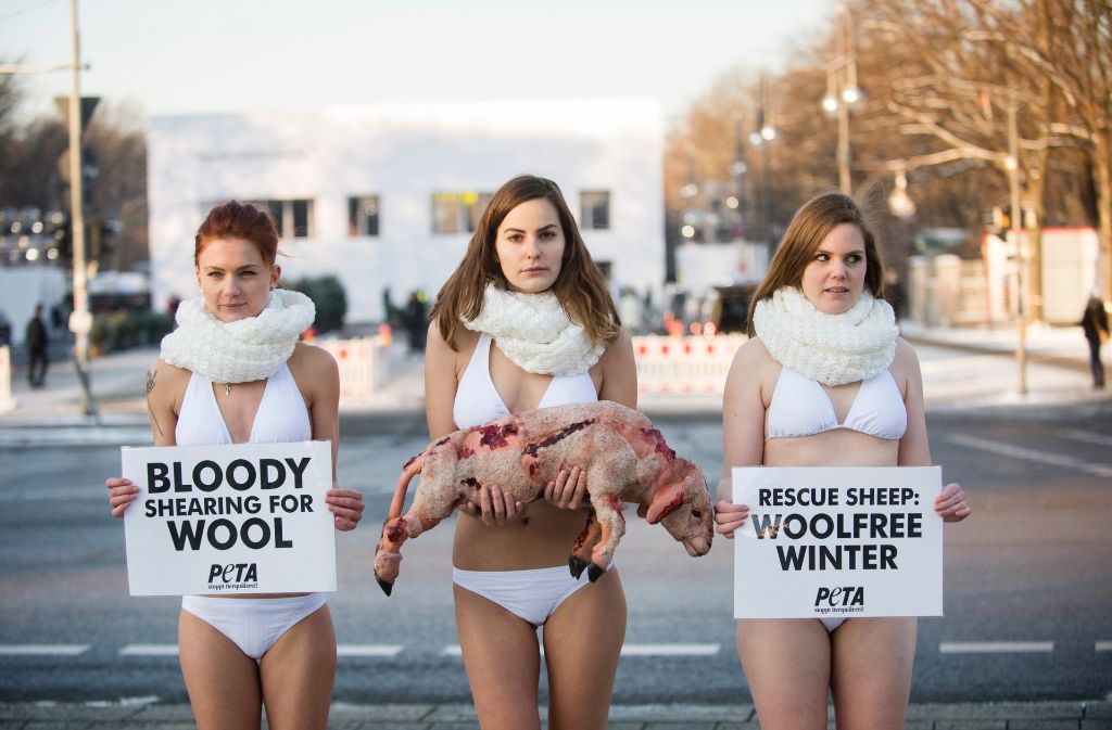 Unter dem Motto „Schützt Schafe: Wollfreier Winter“ demonstrierten die Aktivistinnen gegen das Scheren von Schafen. Anlass war die Fashion Week in Berlin im Januar 2016.