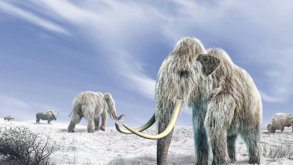 Gentechnik: Wie das Mammut zurückkehren könnte