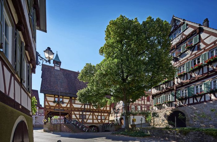 Strümpfelbach – ein  Fachwerkdorf im Wandel der Zeit