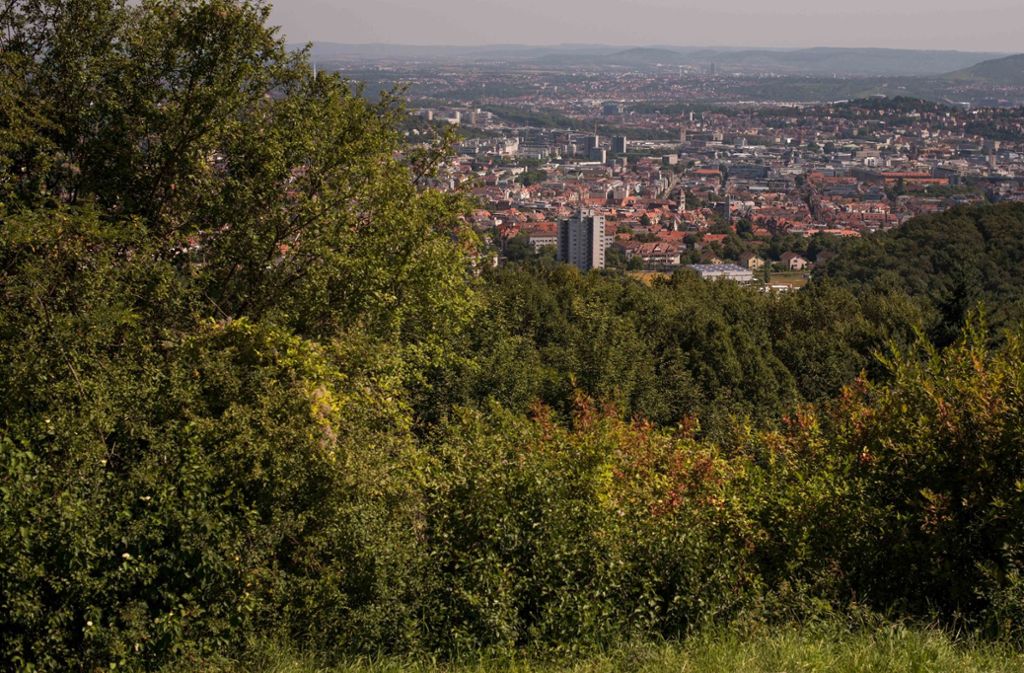 Auch eine tolle Aussicht auf die Stadt zwischen Wald und Reben hat man vom Birkenkopf. Mit 511 Meter ist er der höchste Berg im Stadtgebiet von Stuttgart.