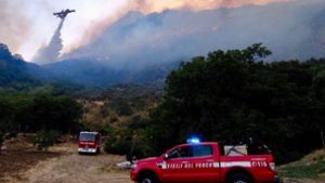 Feuerwehr kämpft gegen hunderte Waldbrände auf Sizilien