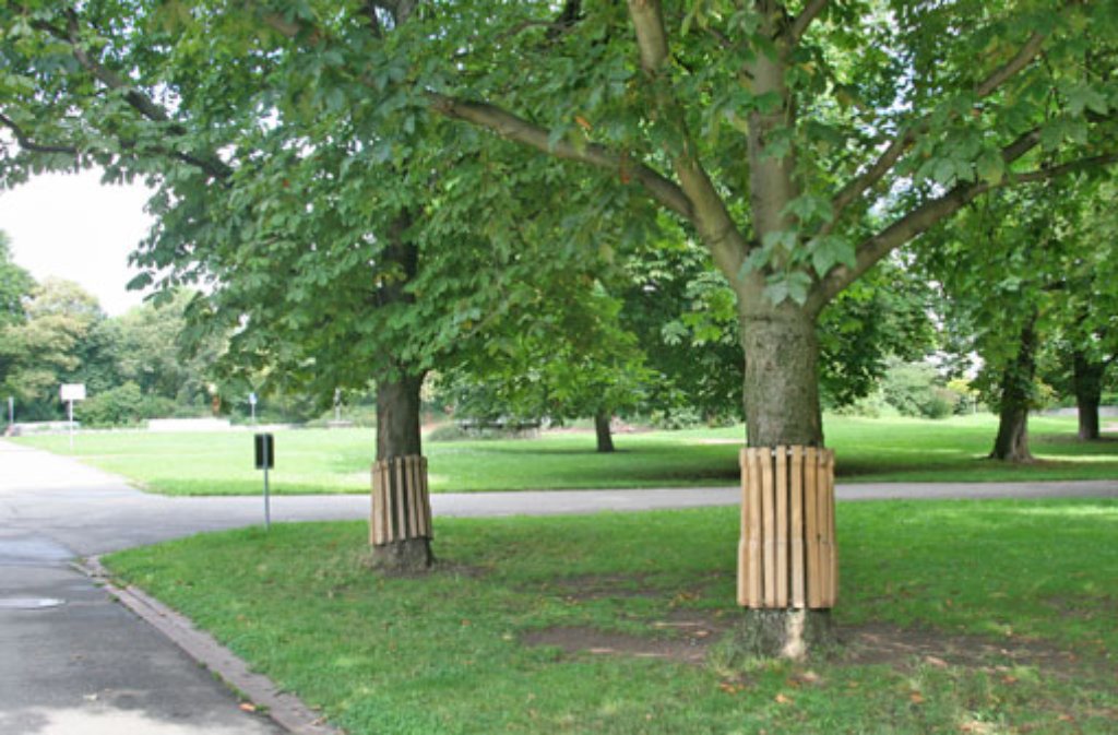 ... Sportart hat die Stadt Stuttgart einige Bäume mit Schonern, sogenannten Treefriends, ausgestattet. Denn durch den Druck der Lines könnten die Bäume beschädigt werden. Nur wenige ...