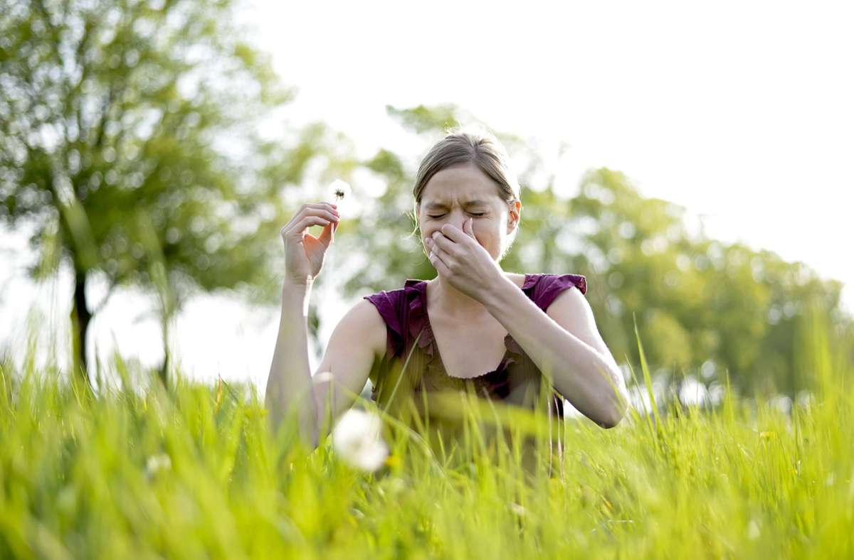 Haaatschi – Besonders auf Wiesen und Feldern haben Allergiker in den Frühling- und Sommermonaten mit allergischen Reaktionen zu kämpfen. Foto: imago/luna