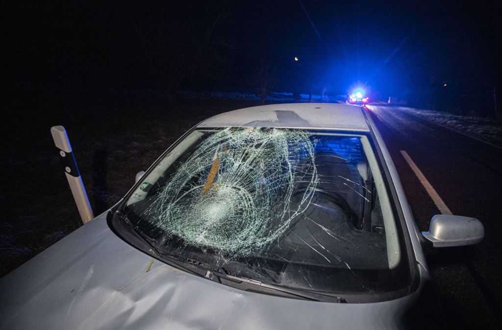 Eine 25-jährige Autofahrerin erfasste das Tier, das danach erschossen werden musste.
