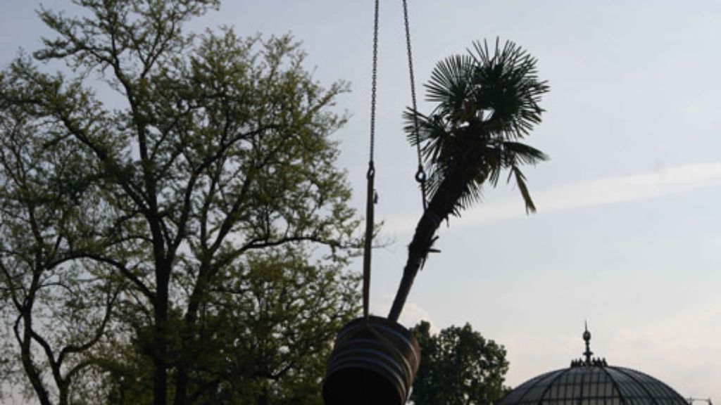Wilhelma in Stuttgart: Palmen fliegen durch die Luft
