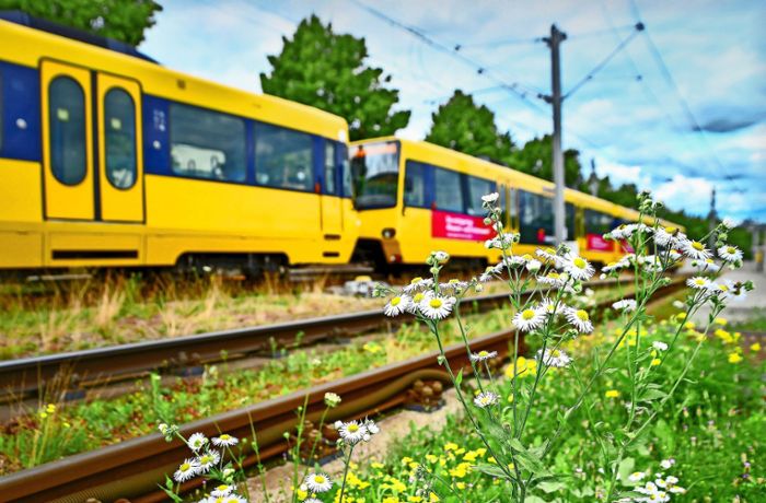 Verlängerung der SSB-Linie  U 13  bis Ditzingen: Darum investieren die SSB  rund 130 Millionen Euro