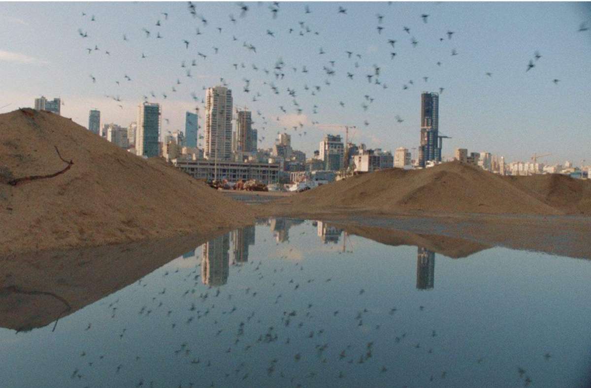 „Kash Kash – Without Feathers we can’t live“: Blick auf Beirut und seine Tauben