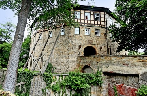 Bei den Vorarbeiten für die Sanierung des Sachsenheimer Wasserschlosses wurden unerwartet Deckenbretter aus dem 16. Jahrhundert entdeckt. Foto: factum/Granville