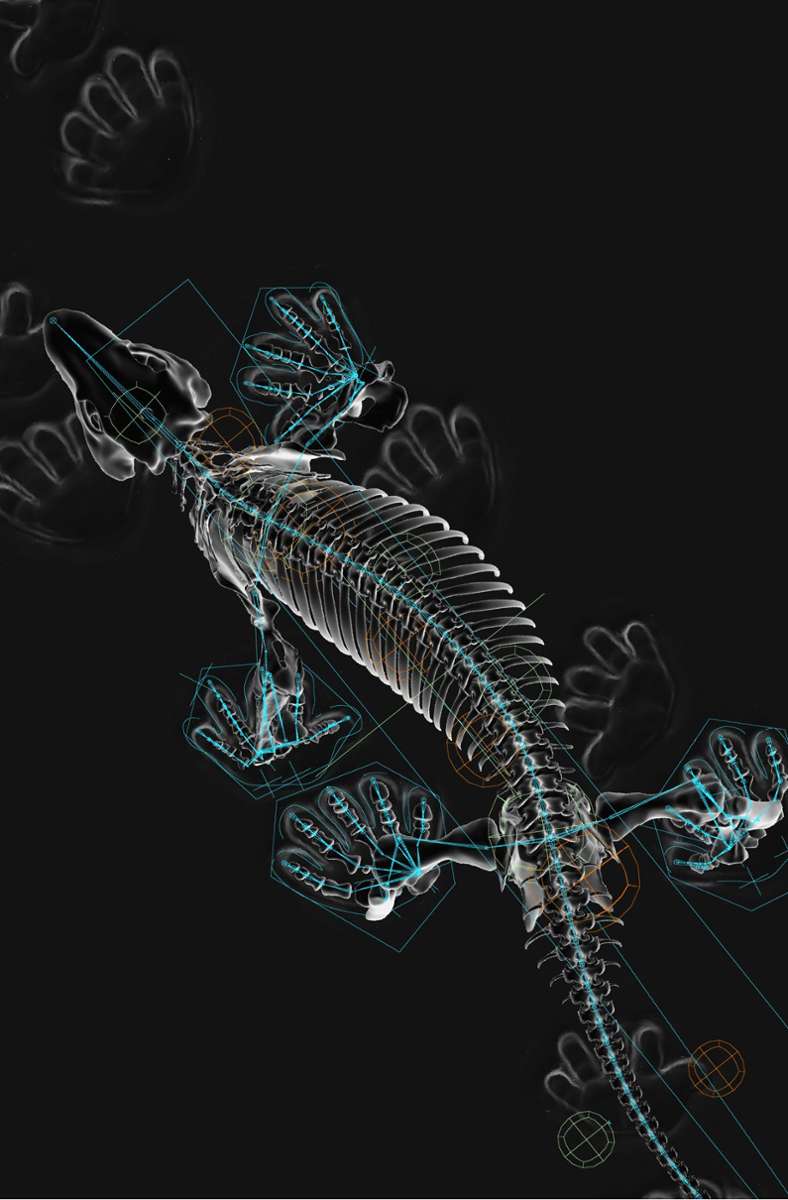 Künstlerische Illustration von Jonas Lauströer (HAW Hamburg), Amir Andikfar (HAW Hamburg), John Nyakatura: „Photomontage of OroBOT and 3D digital skeleton of Orobates“