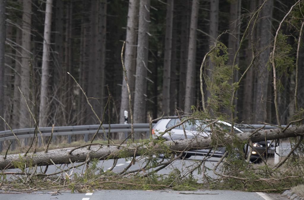Hessen, Schmitten: Ein vom Sturm abgeknickter Baum blockiert eine Straße am Feldberg im Taunus.