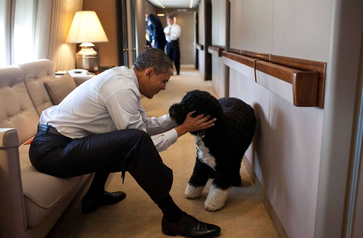 Der frühere US-Präsident Barack Obama war völlig vernarrt in seinen Hund Bo.