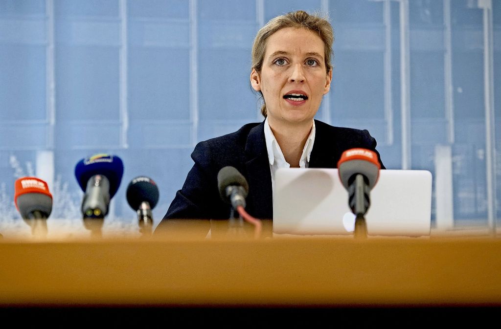 Alice Weidel ist AfD-Spitzenkandidatin für die Bundestagswahl – doch die Position könnte ihr streitig gemacht werden. Foto: dpa