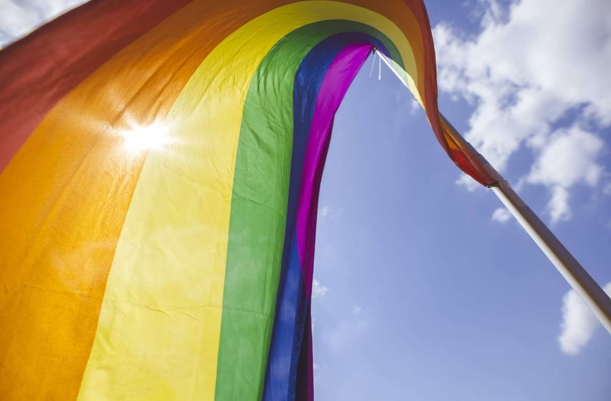 Die Regenbogenfahne mit sieben Farbstreifen steht für die moderne Friedensbewegung, die derzeit diskutierte Variante mit sechs Farbstreifen für die LGBT-Bewegung Foto: imago images//Xander Heinl/photothek.de