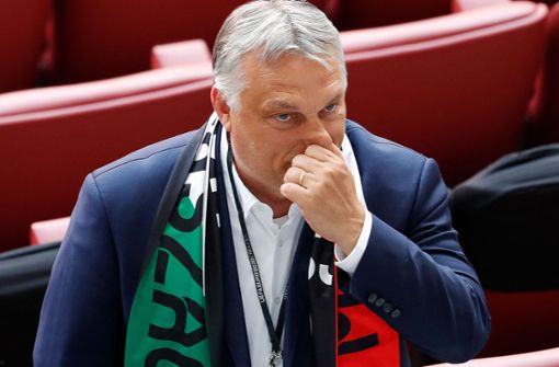 Ministerpräsident Viktor Orban gilt als großer Unterstützer des Gesetztes. Foto: AFP/LASZLO BALOGH